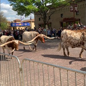 Meet your Posher, Tammie